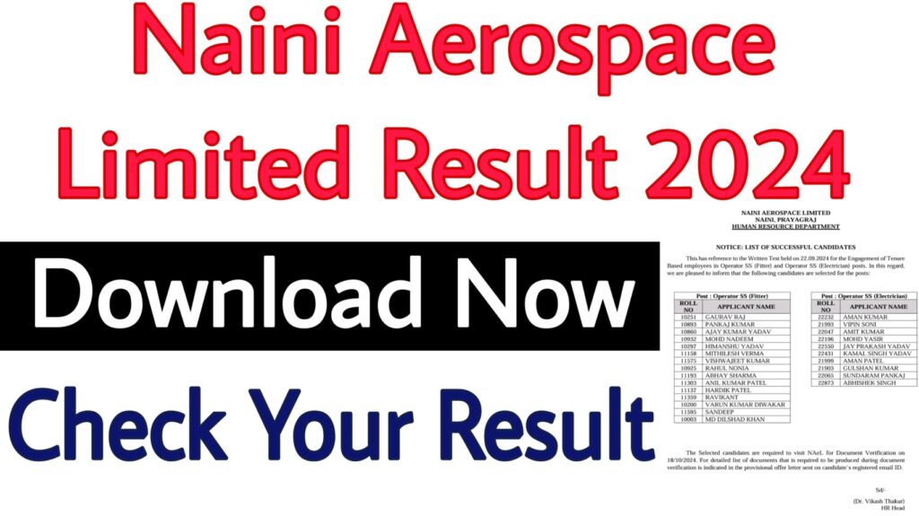 Naini Aerospace Limited Result 2024