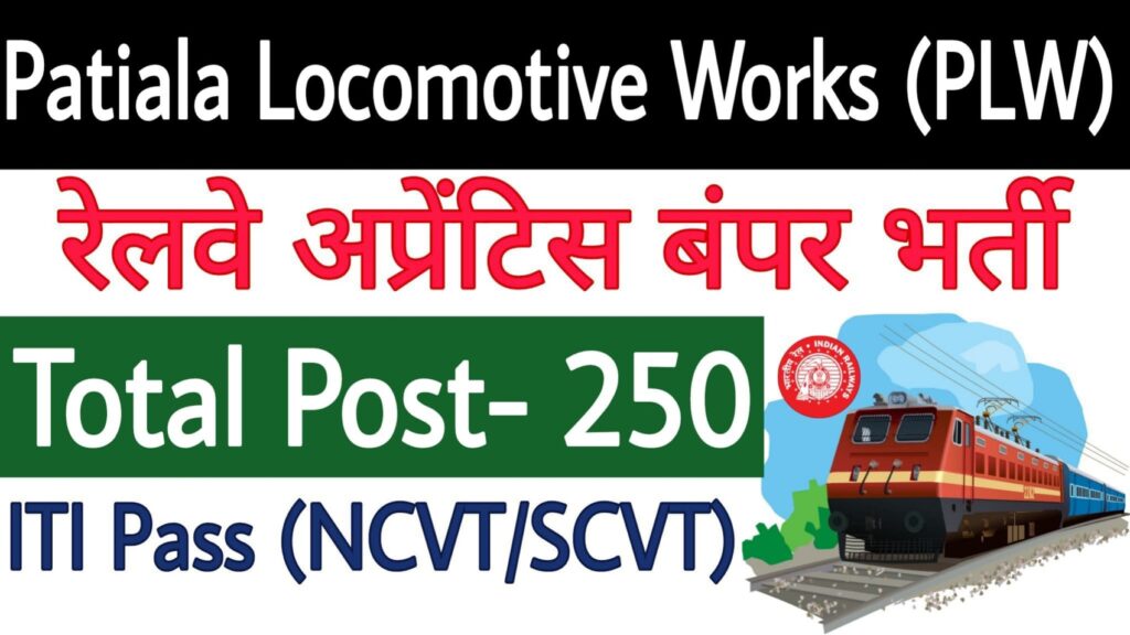 PLW Apprentice Recruitment 2024